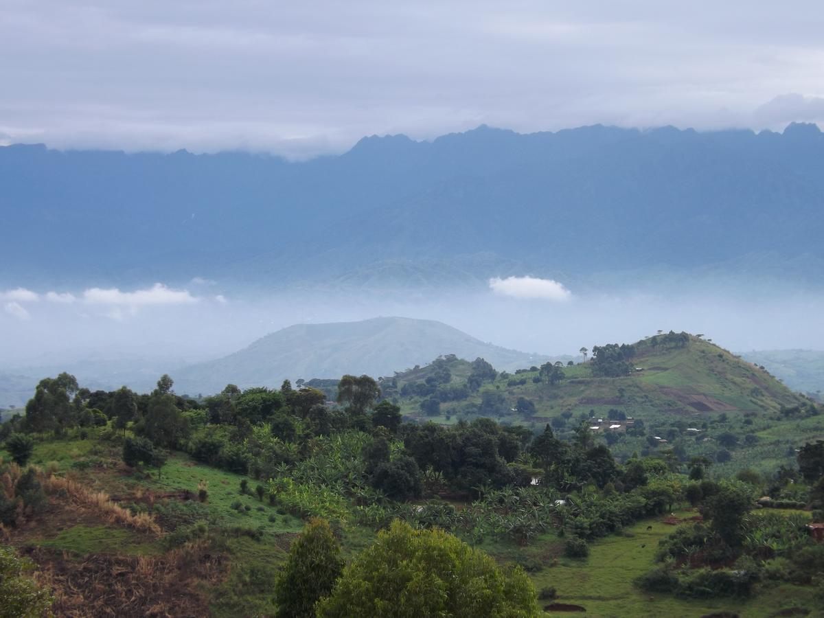 Isunga Lodge Kibale National Park Eksteriør billede